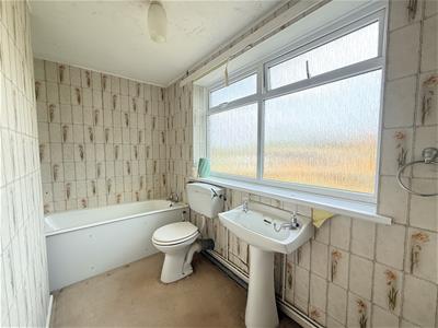 Picture 24